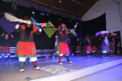 2016_01_22_Guggentreffen_47