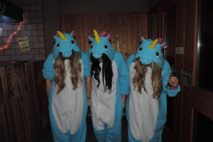 2016_01_23_Fuchsenfasnet_19