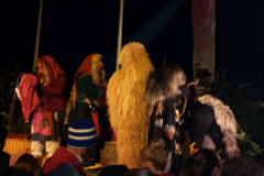 2016_01_06_Hanselerweckung_18