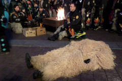 2016_01_06_Hanselerweckung_25