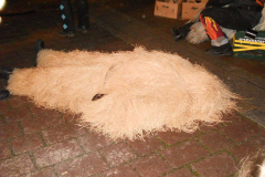 2016_01_06_Hanselerweckung_3