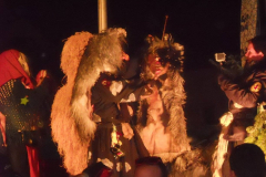 2016_01_06_Hanselerweckung_5