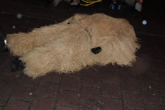 2016_01_06_Hanselerweckung_54