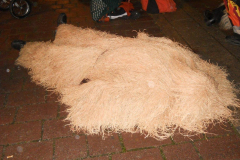 2016_01_06_Hanselerweckung_60