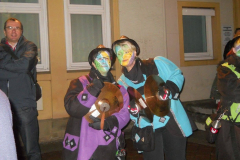 2016_01_06_Hanselerweckung_62
