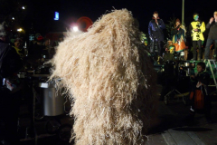 2016_01_06_Hanselerweckung_63