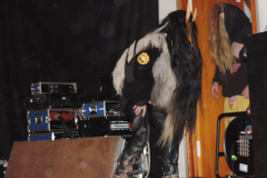 2016_01_23_1_Kinderfuchsenfasnet_165