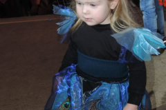 2016_01_23_1_Kinderfuchsenfasnet_37