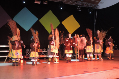 2016_01_23_1_Kinderfuchsenfasnet_47