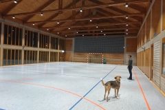 2019_02_13_Aufbau-Fufa_2