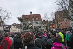 2018_02_04_Deizisau_21