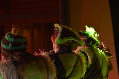 2018_01_26_Guggentreffen_9
