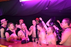 2018_01_27_Fuchsenball_50