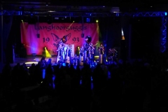 2019_02_16_Fuchsenfasnet_1