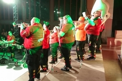 2019_02_16_Fuchsenfasnet_11
