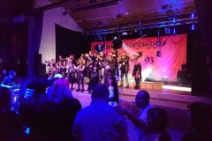 2019_02_16_Fuchsenfasnet_12