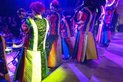 2019_02_16_Fuchsenfasnet_8