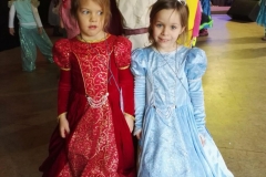 2017_02_11_1_Kinderfuchsenfasnet_11
