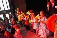 2017_02_11_1_Kinderfuchsenfasnet_39