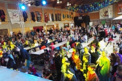 2017_02_11_1_Kinderfuchsenfasnet_4