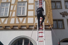 2019_02_10_Leonberg_9